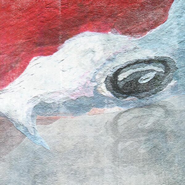 KOI gallery image